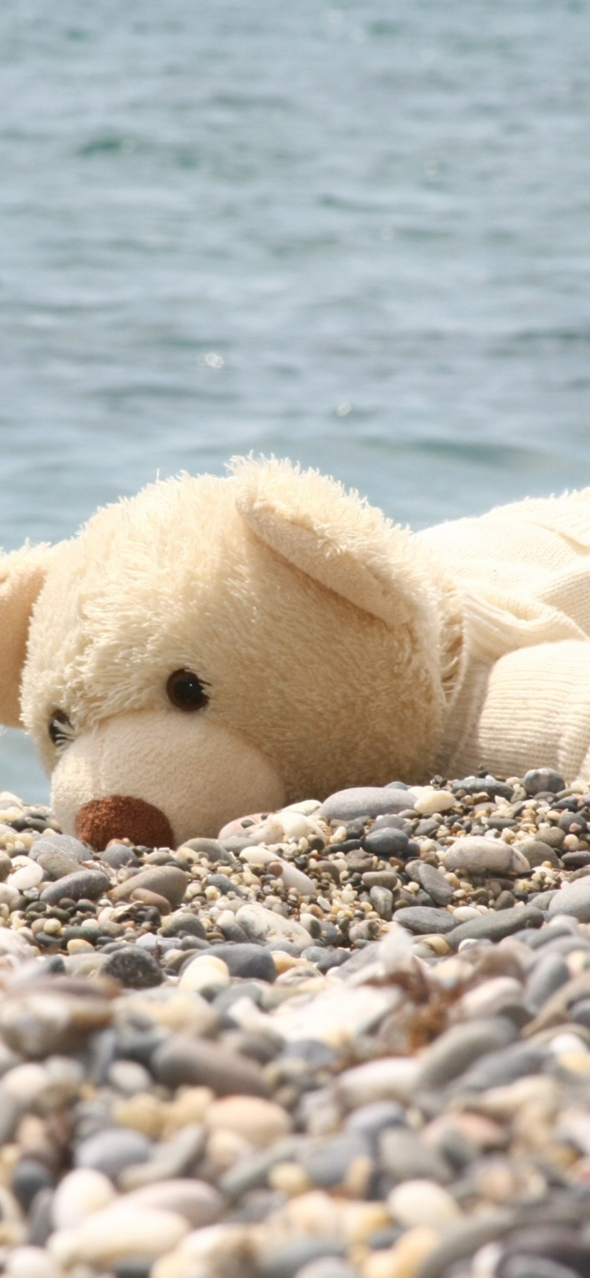 Fondo de pantalla White Teddy Forgotten On Beach 1170x2532