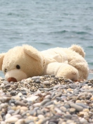 White Teddy Forgotten On Beach wallpaper 132x176
