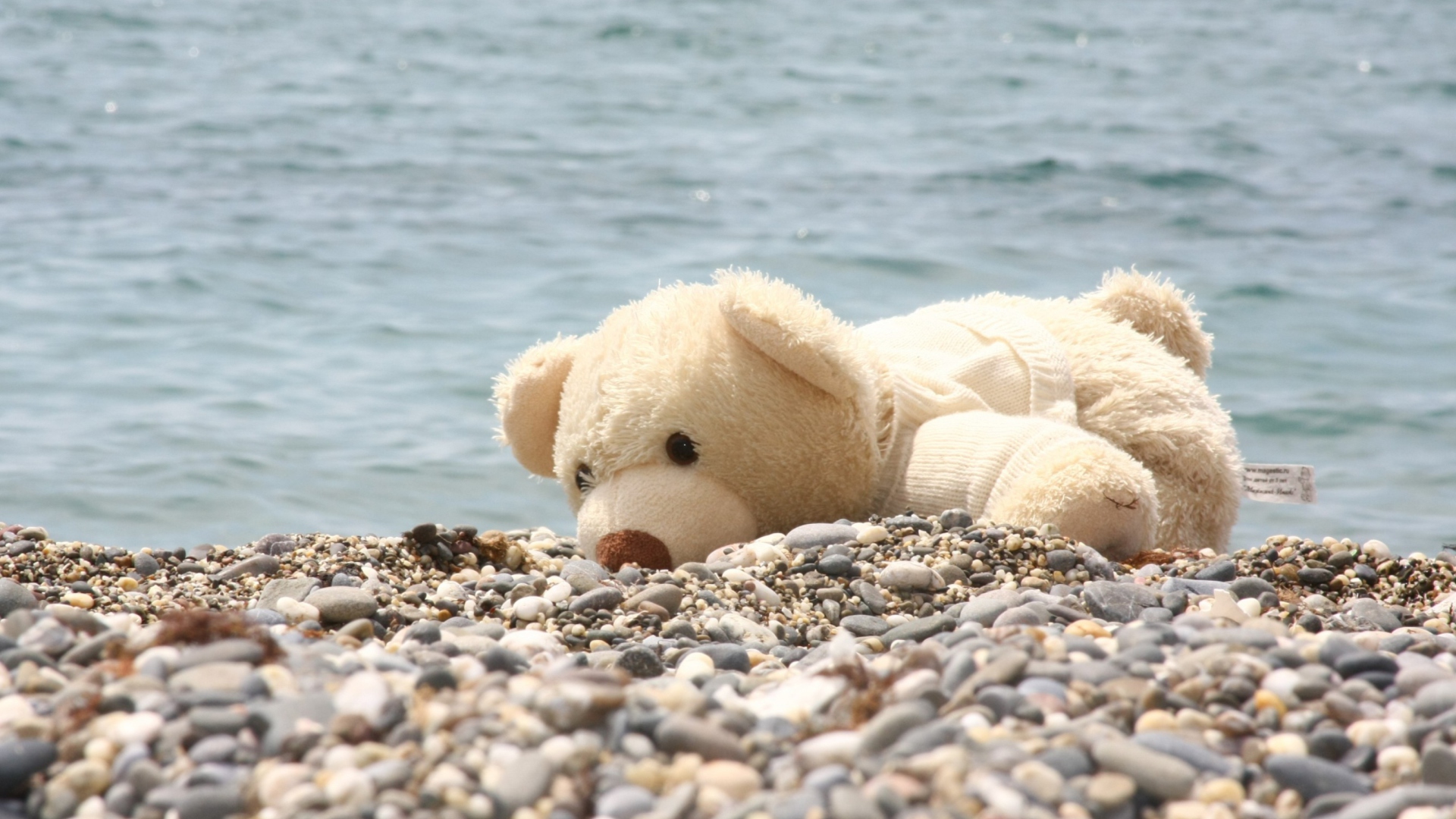 Screenshot №1 pro téma White Teddy Forgotten On Beach 1920x1080