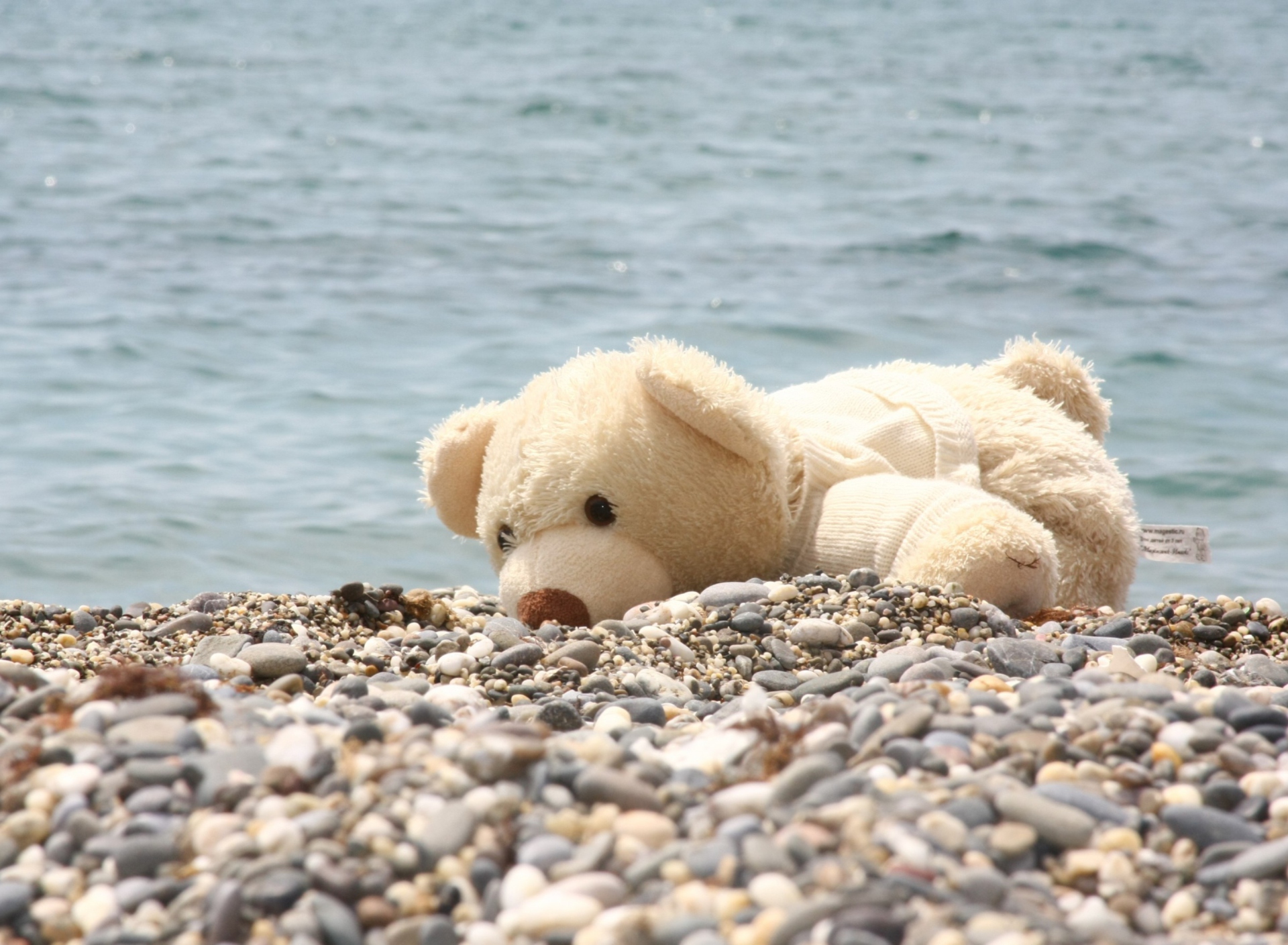 Sfondi White Teddy Forgotten On Beach 1920x1408