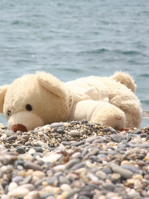 Обои White Teddy Forgotten On Beach 480x640