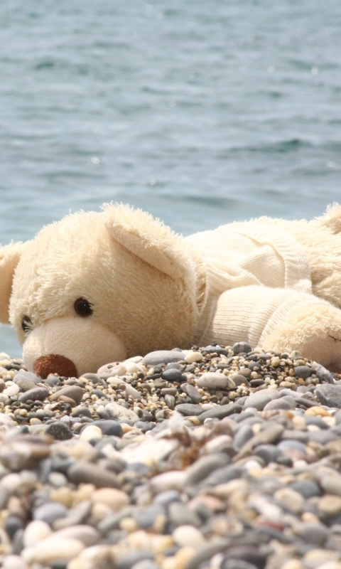 Das White Teddy Forgotten On Beach Wallpaper 480x800