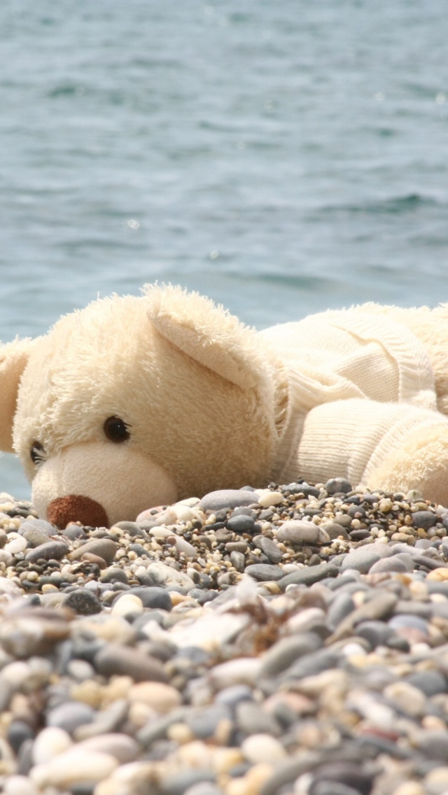 Das White Teddy Forgotten On Beach Wallpaper 640x1136