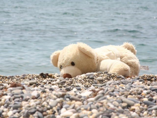Das White Teddy Forgotten On Beach Wallpaper 640x480