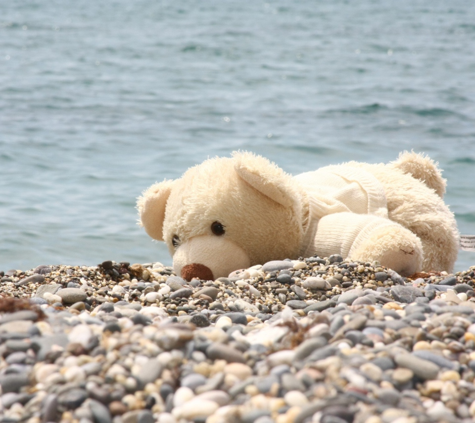 Обои White Teddy Forgotten On Beach 960x854