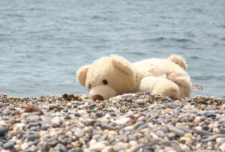 White Teddy Forgotten On Beach screenshot #1