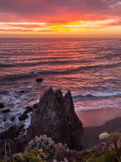 Fondo de pantalla Seashore HD 240x320