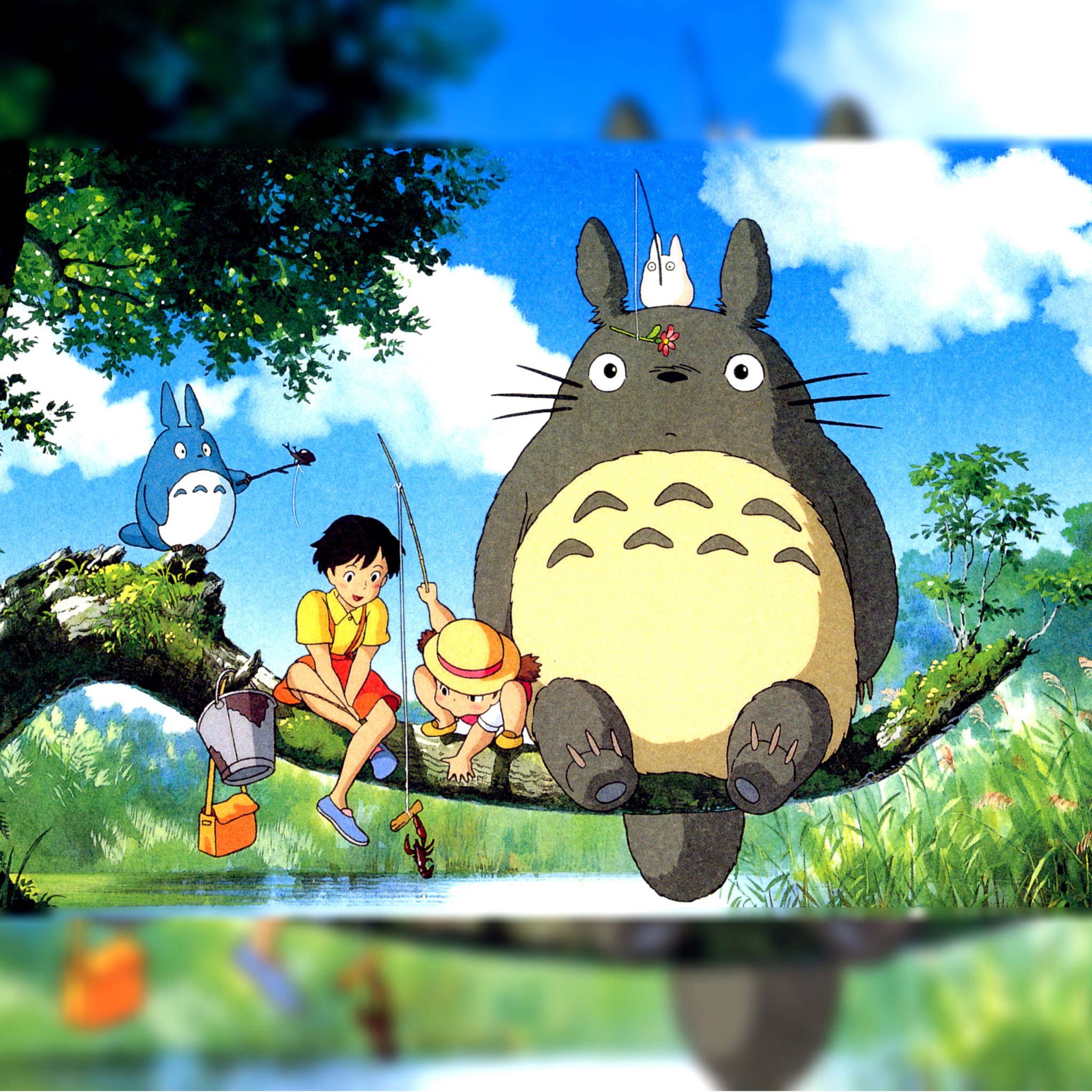 Обои My Neighbor Totoro Anime 2048x2048