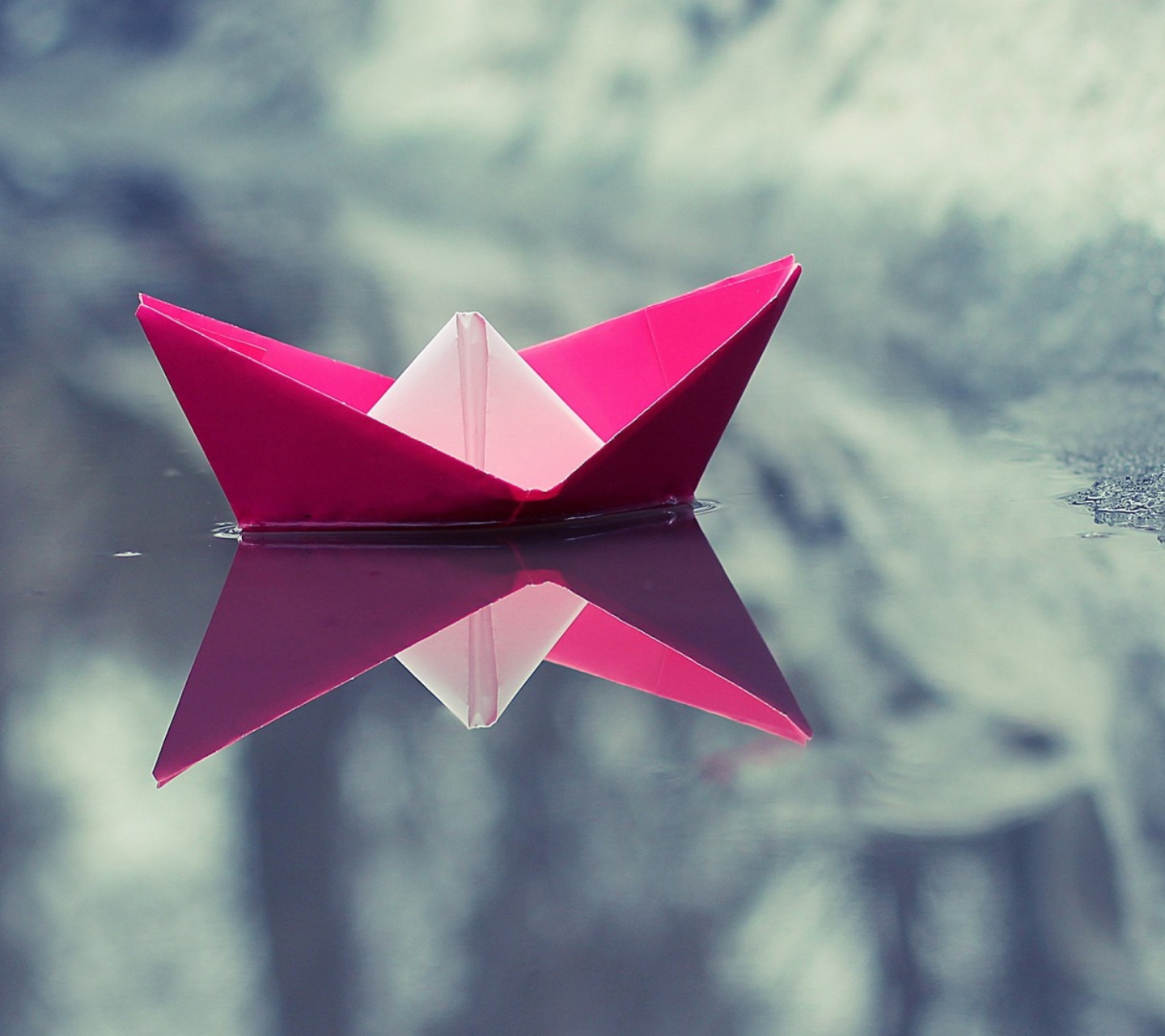 Pink Paper Boat wallpaper 1440x1280