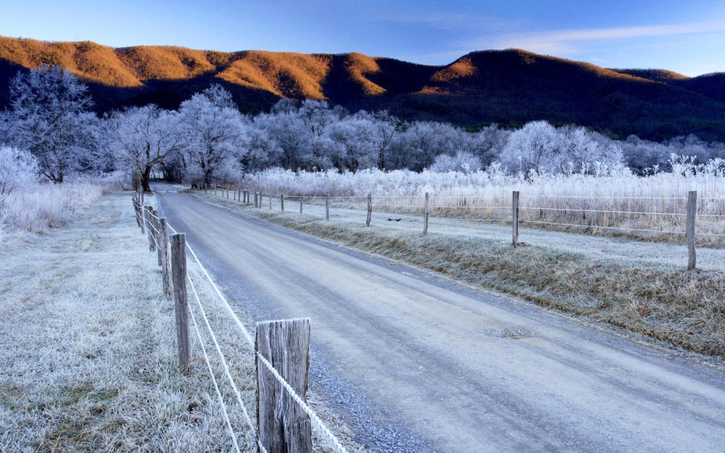 Canada Winter Landscape screenshot #1 1440x900