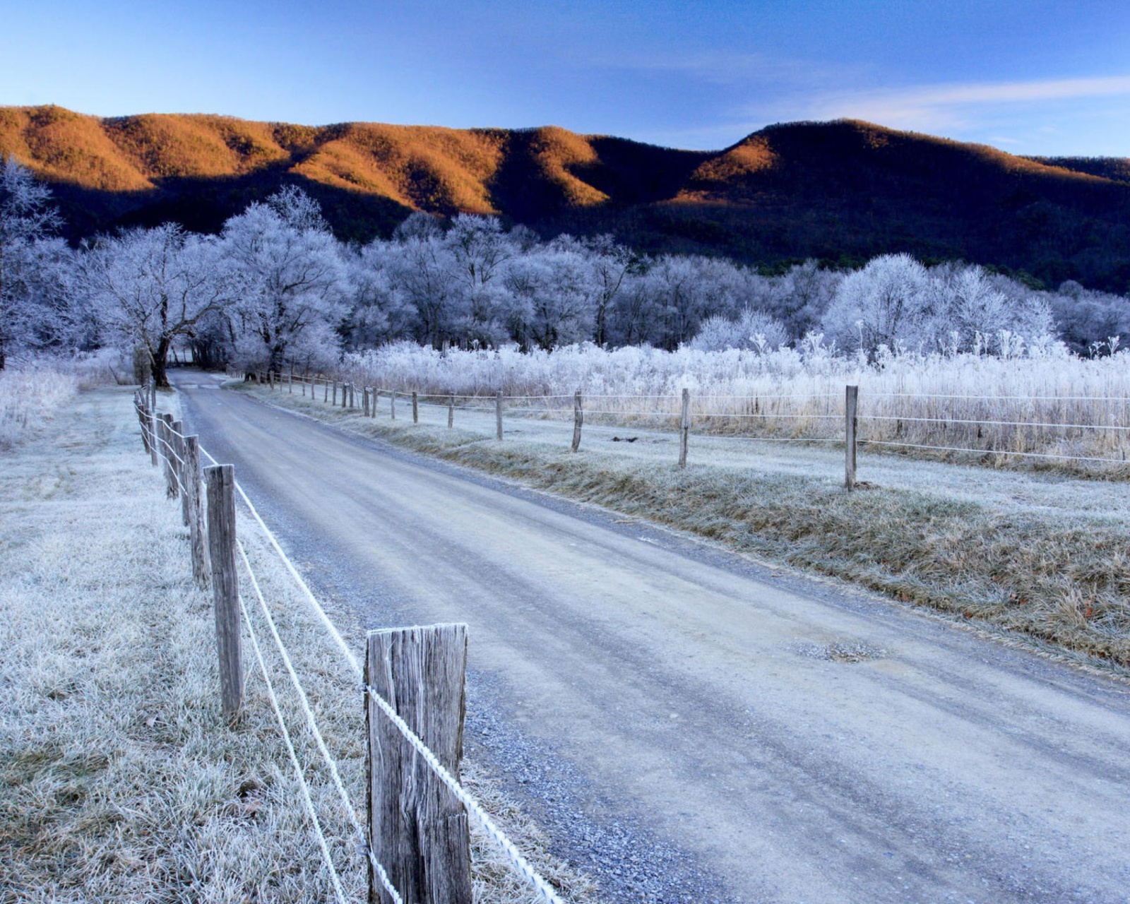 Canada Winter Landscape screenshot #1 1600x1280
