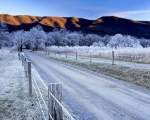 Canada Winter Landscape screenshot #1 220x176