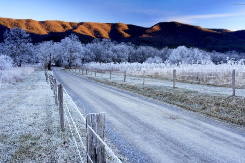 Canada Winter Landscape screenshot #1 480x320