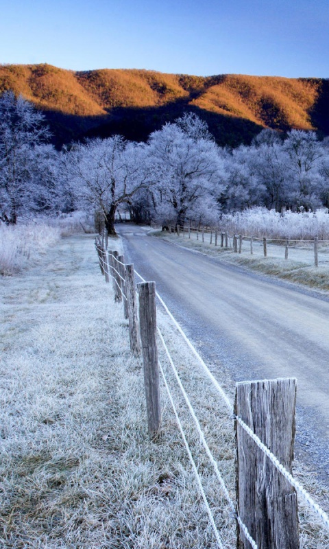 canada winter landscape wallpaper for 480x800