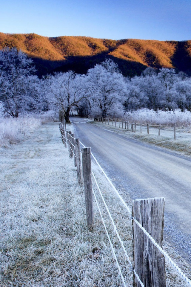 Das Canada Winter Landscape Wallpaper 640x960