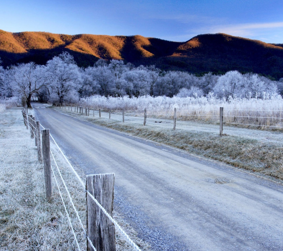 Canada Winter Landscape screenshot #1 960x854