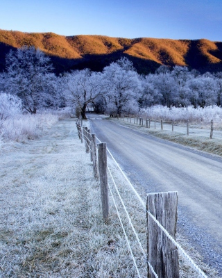 Canada Winter Landscape - Obrázkek zdarma pro Nokia X2-02