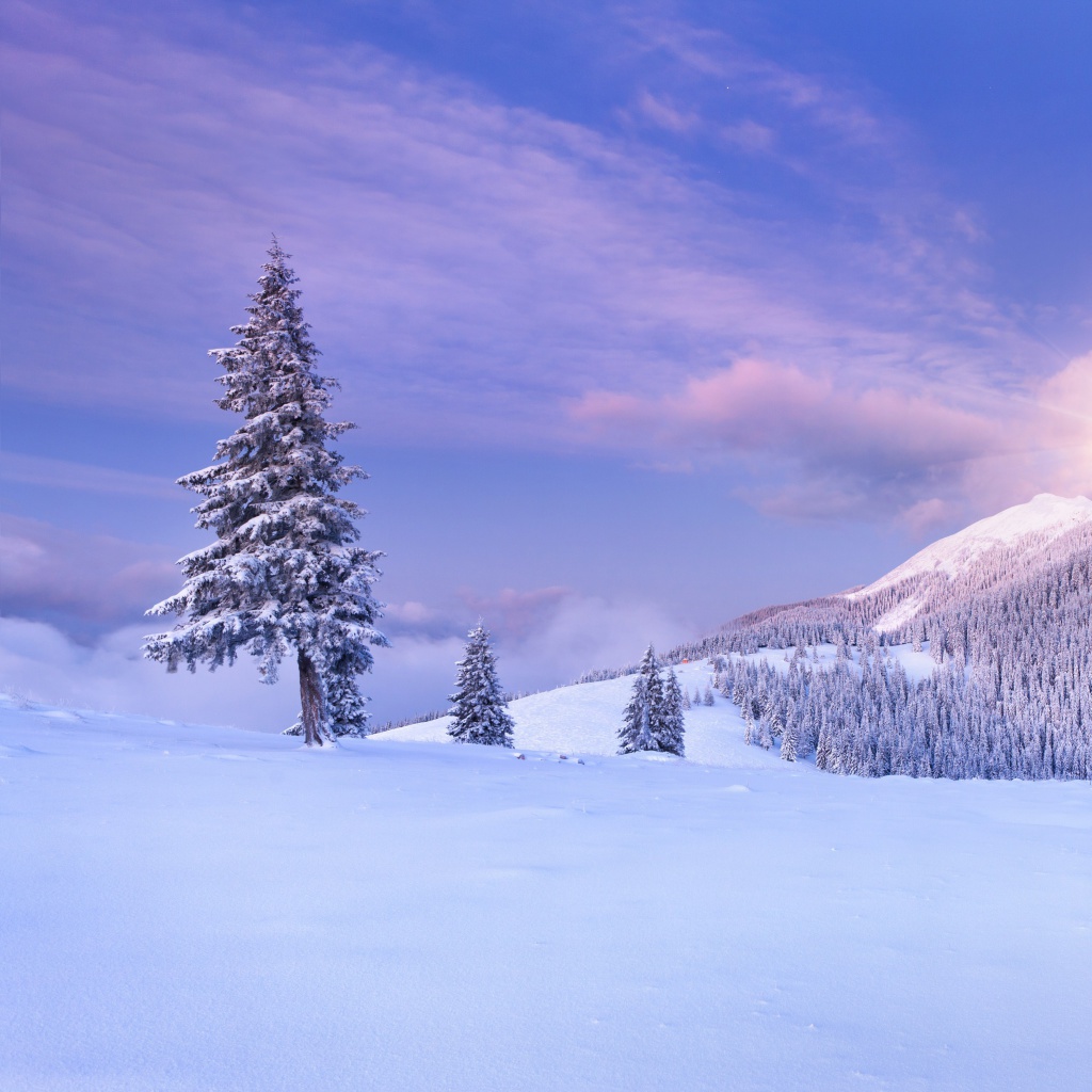 Mountain and Winter Landscape wallpaper 1024x1024