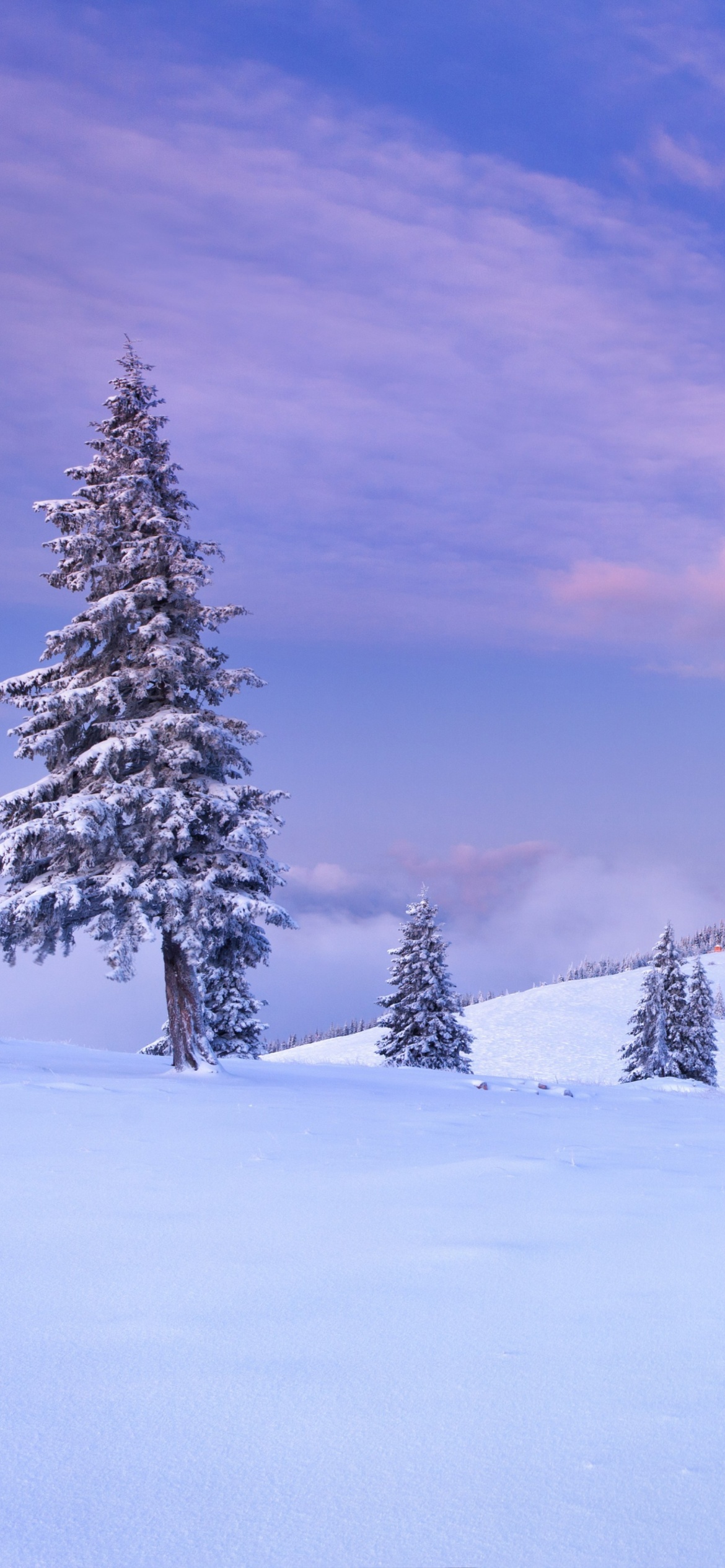 Mountain And Winter Landscape Wallpaper For Iphone 12 Pro