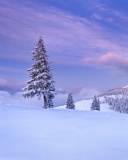 Mountain and Winter Landscape wallpaper 128x160