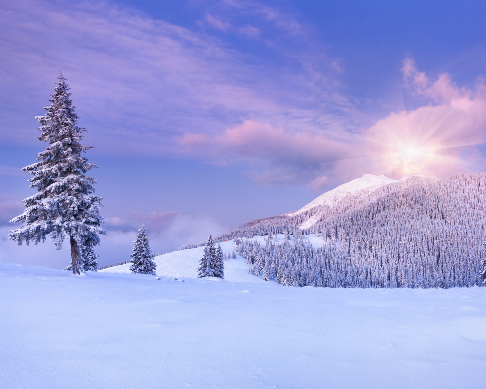 Mountain and Winter Landscape wallpaper 1600x1280