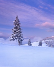 Fondo de pantalla Mountain and Winter Landscape 176x220