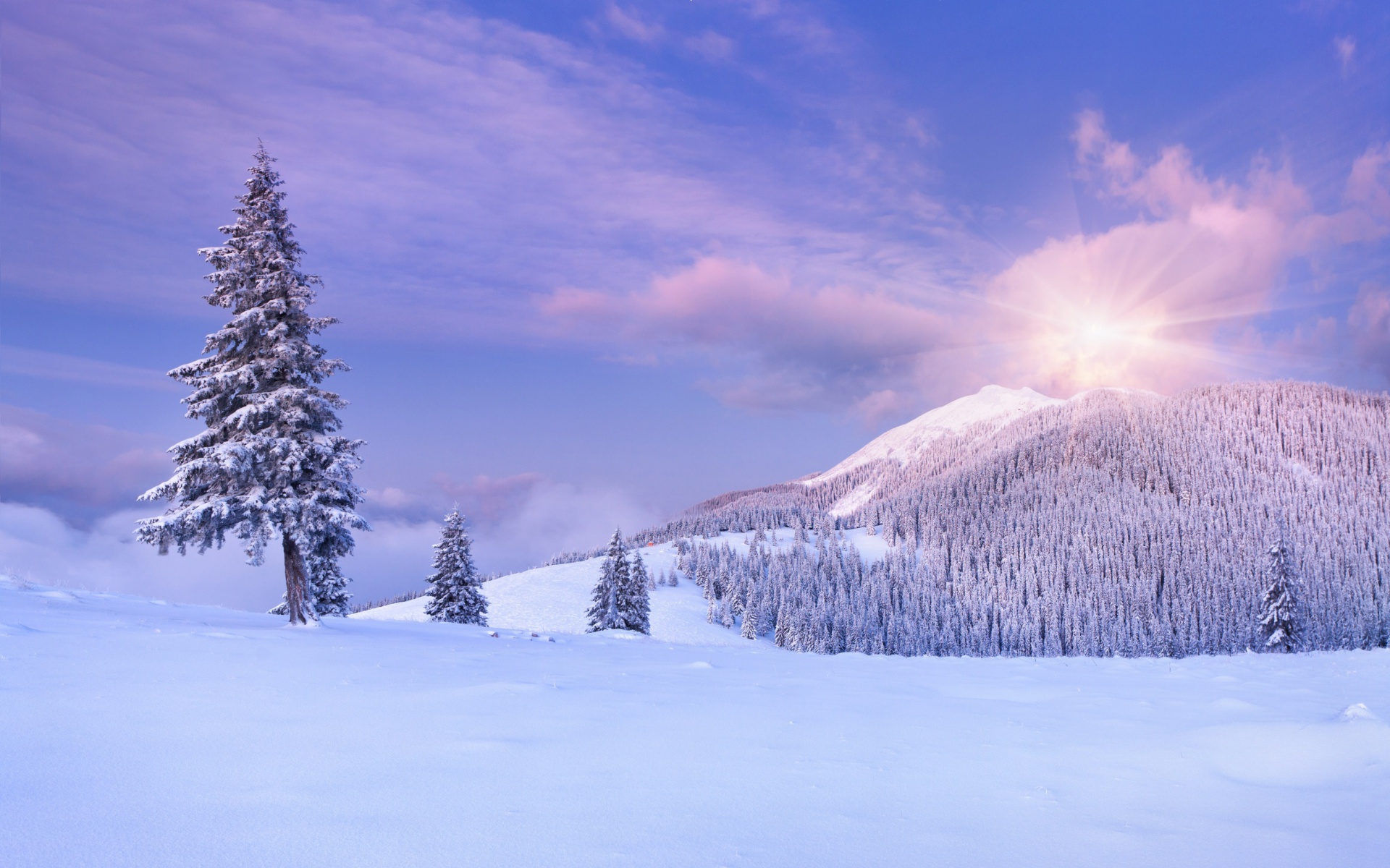 Обои Mountain and Winter Landscape 1920x1200