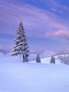 Fondo de pantalla Mountain and Winter Landscape 240x320