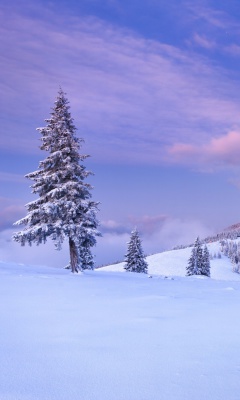 Mountain and Winter Landscape wallpaper 240x400