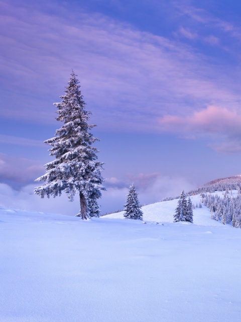 Mountain and Winter Landscape wallpaper 480x640