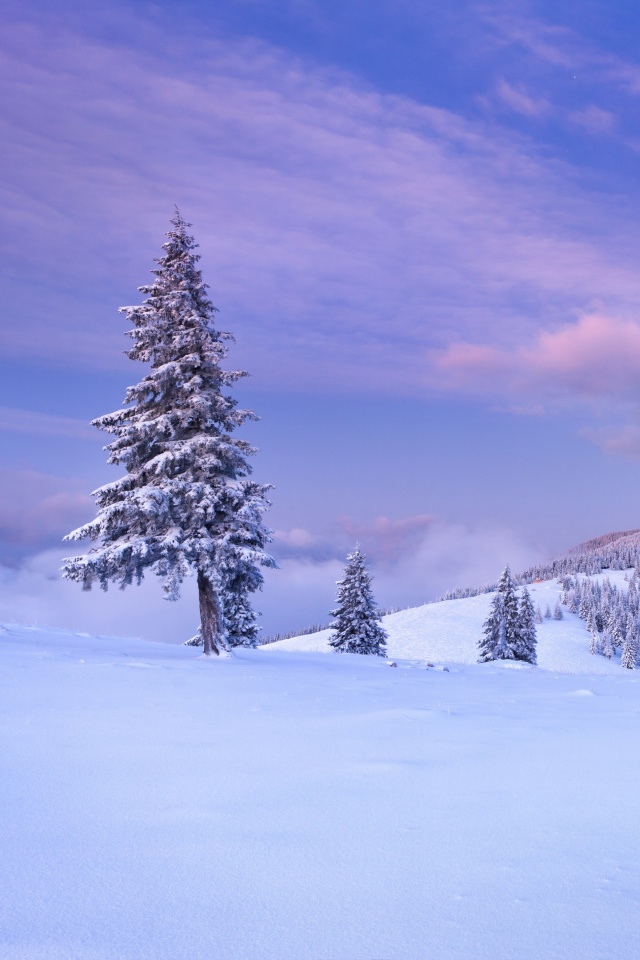 Обои Mountain and Winter Landscape 640x960