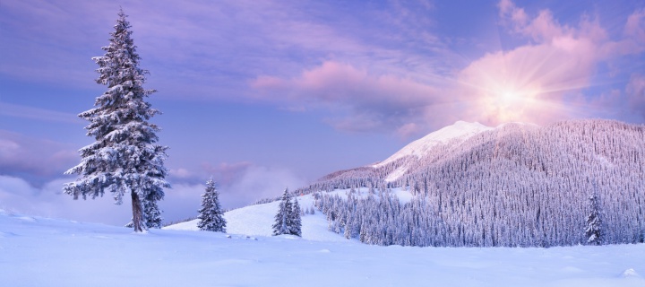 Fondo de pantalla Mountain and Winter Landscape 720x320