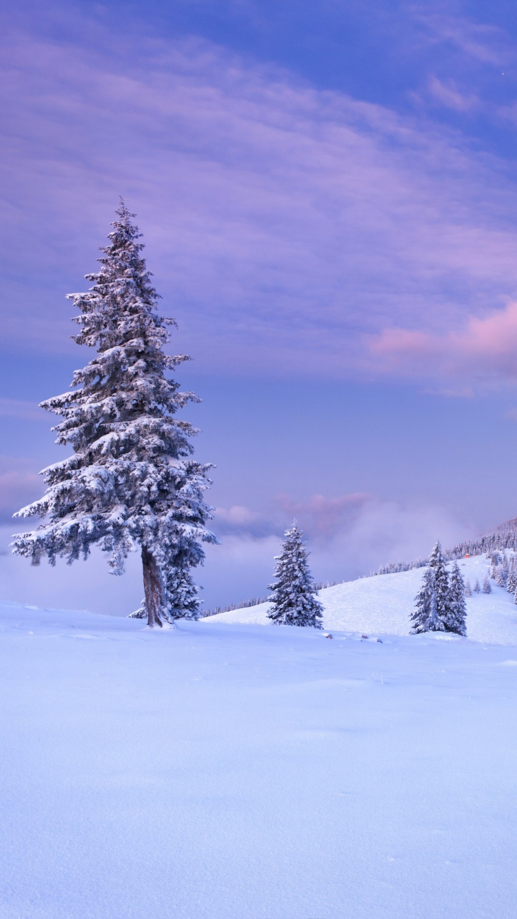 Mountain and Winter Landscape wallpaper 750x1334