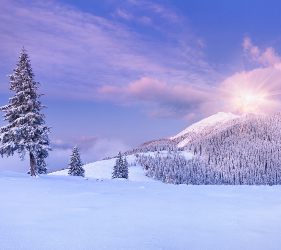 Mountain and Winter Landscape wallpaper 960x854