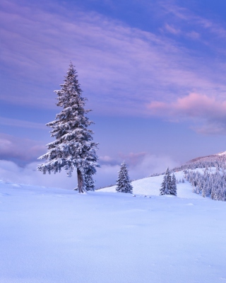 Mountain and Winter Landscape - Obrázkek zdarma pro 240x400