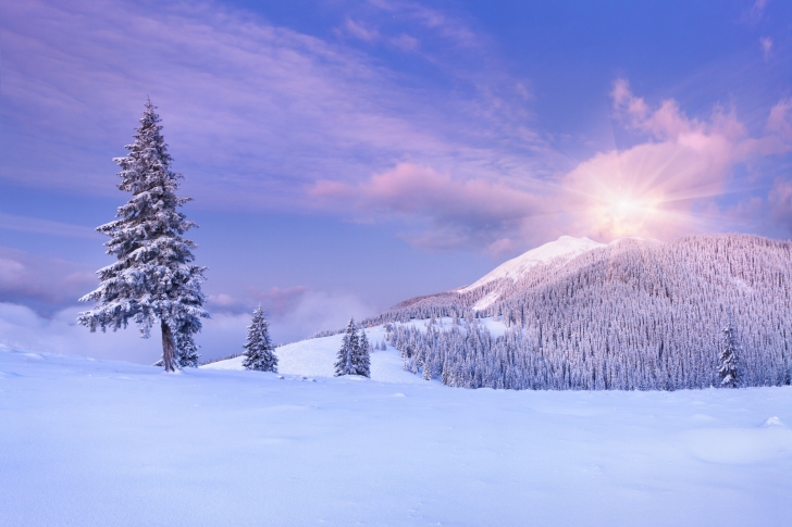 Mountain and Winter Landscape wallpaper