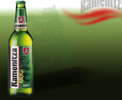 Обои Kamenitza Beer 176x144