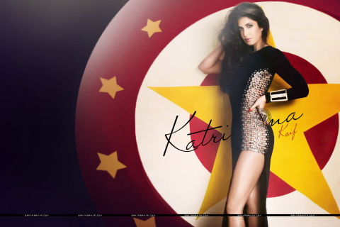 Fondo de pantalla Katrina Kaif Star 480x320