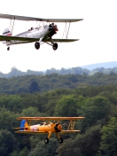 Fondo de pantalla Airplanes Over Green Forest 132x176