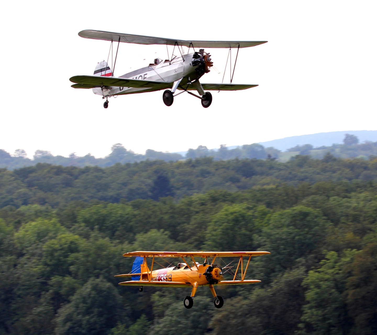 Fondo de pantalla Airplanes Over Green Forest 1440x1280