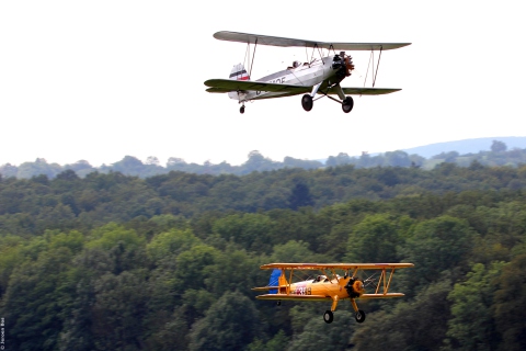 Airplanes Over Green Forest wallpaper 480x320