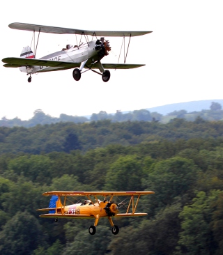 Free Airplanes Over Green Forest Picture for 240x320