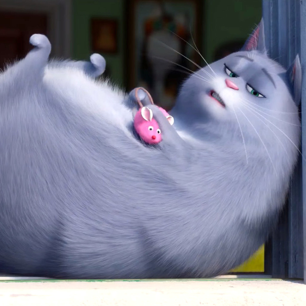 Screenshot №1 pro téma The Secret Life of Pets Chloe 1024x1024