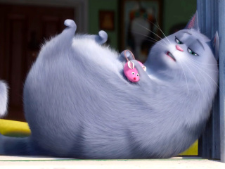 Screenshot №1 pro téma The Secret Life of Pets Chloe 320x240