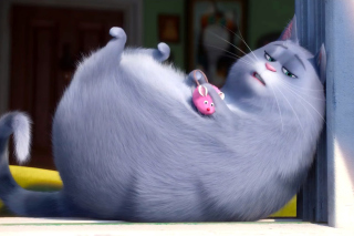 Kostenloses The Secret Life of Pets Chloe Wallpaper für Android, iPhone und iPad