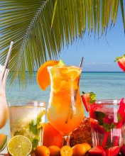 Sfondi Summer Tropics Cocktail 176x220