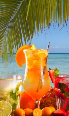 Das Summer Tropics Cocktail Wallpaper 240x400