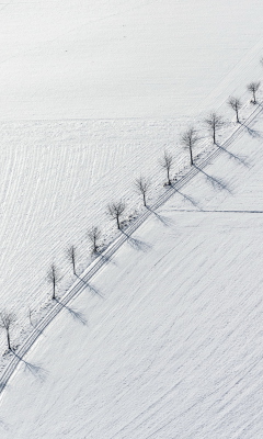 Winter Road screenshot #1 240x400