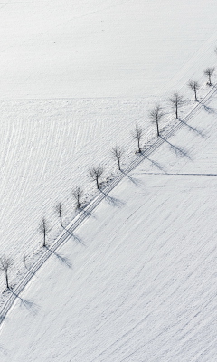 Winter Road wallpaper 240x400