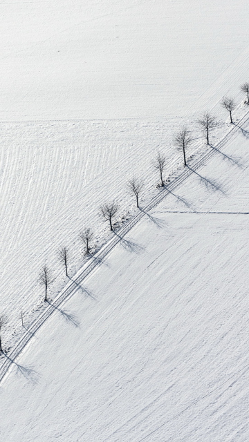 Winter Road screenshot #1 360x640
